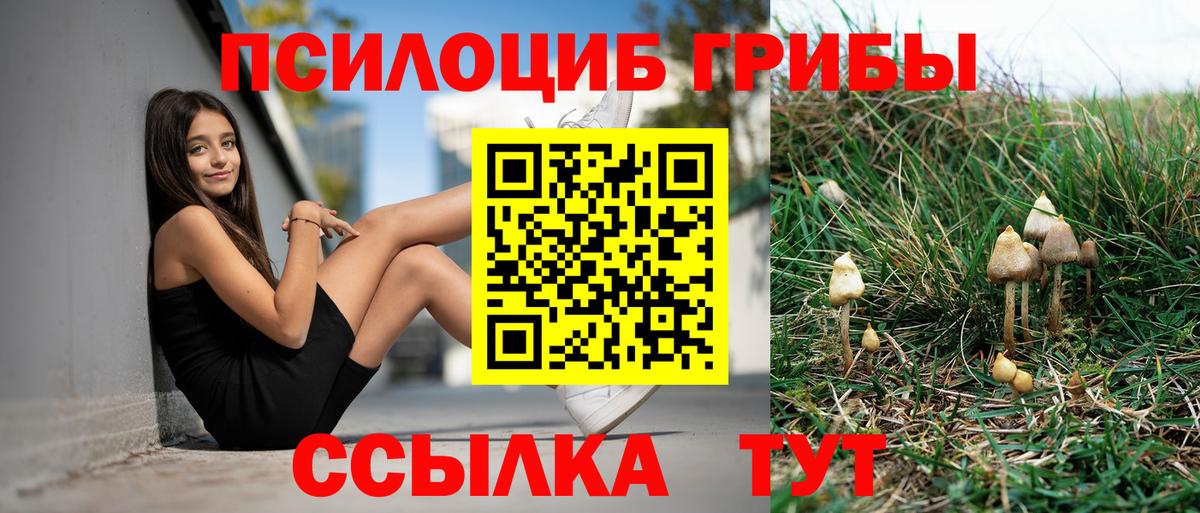 Псилоцибиновые грибы MAGIC MUSHROOMS Приморско-Ахтарск