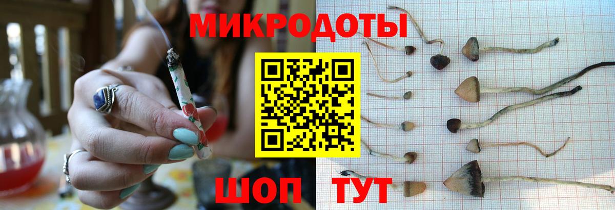 Приморско-Ахтарск  Псилоцибиновые грибы Psilocybe  Псилоцибиновые грибы Cubensis  Вход с VPN 
